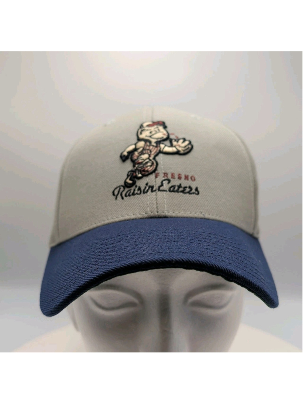 Fresno Raisin Eaters baseball Hat Grey Blue Strap back American Needle Hometown